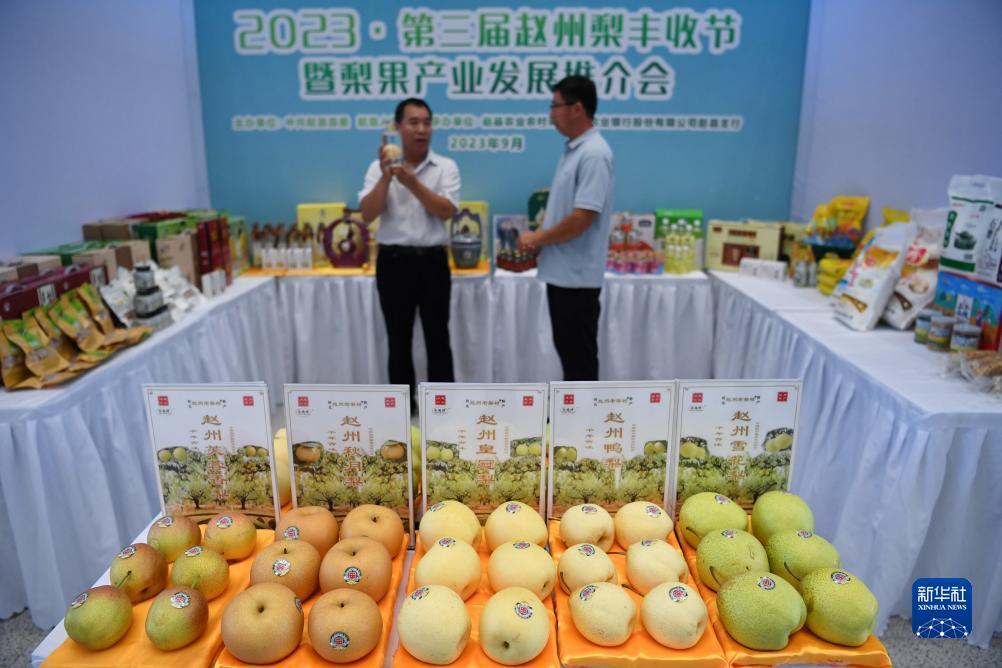梦之城提现退回